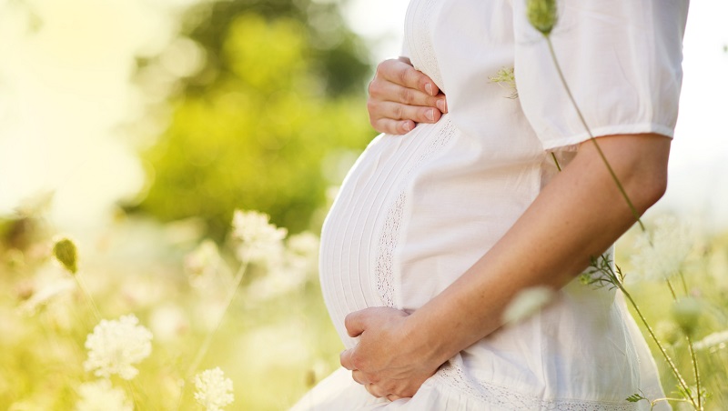 妊娠中、授乳中の安全性